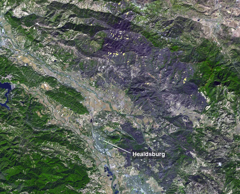 Satellite Captures Awful Scar