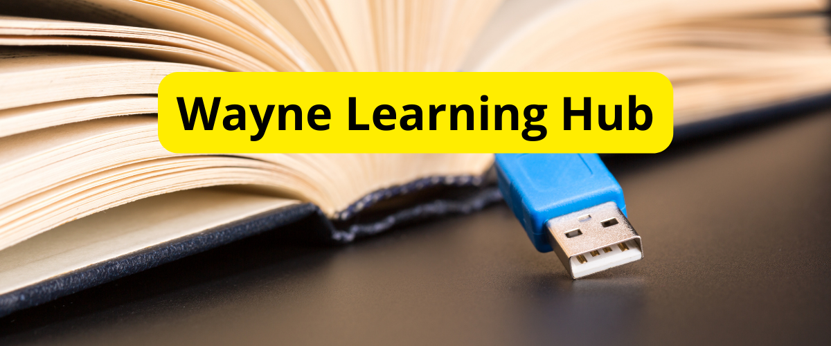 Wayne Learning Hub