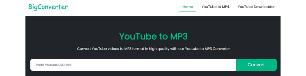 BigConverter youtube converter mp3 converter