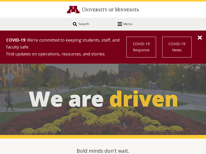 University of Minnesota Twin Cities