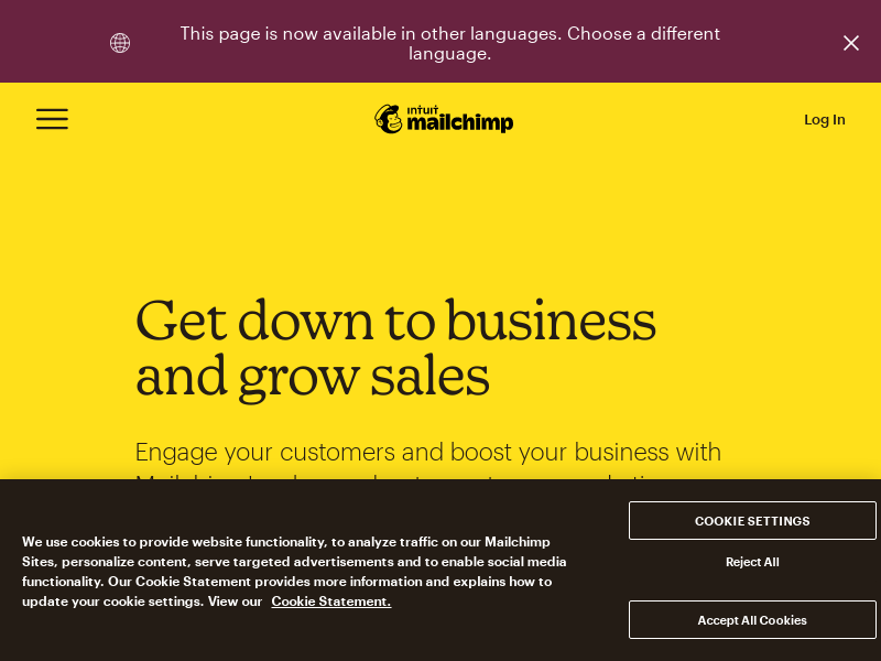 Marketing, Automation & Email Platform _ Mailchimp (1)