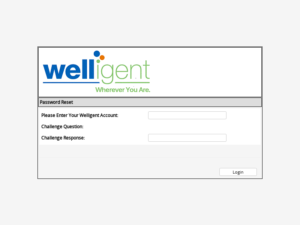 Welligent - Version Information