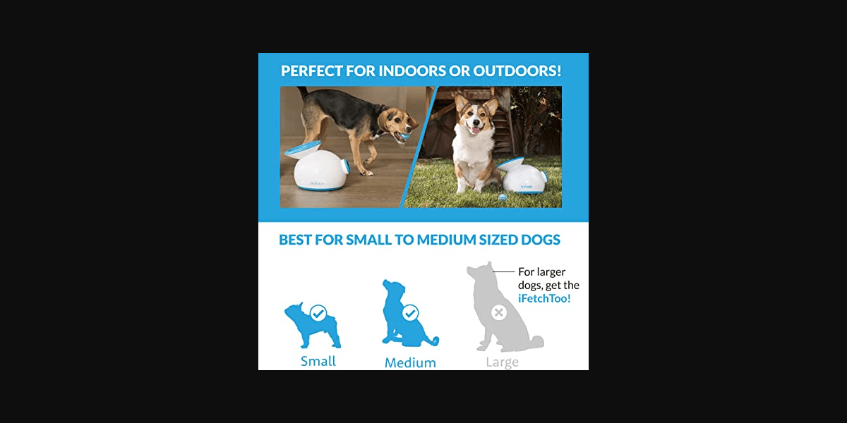 Dog Gift for Dog Lovers